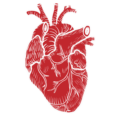 Organic Long-Term SEO