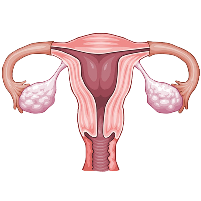 Advanced SEO Analytics